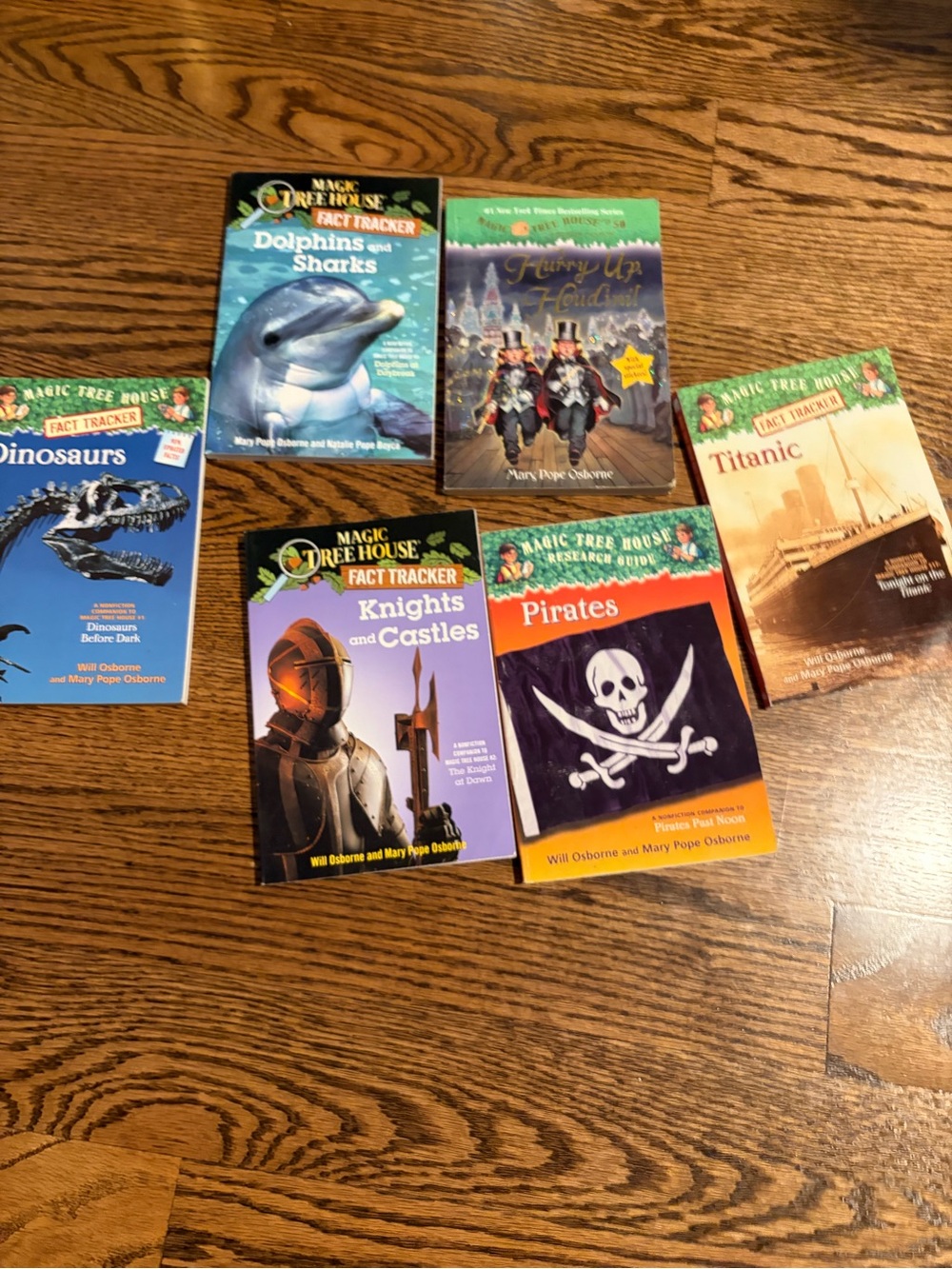 35+ Magic Tree House Book Stack Children's Chapter Books - Picture 2 of 6